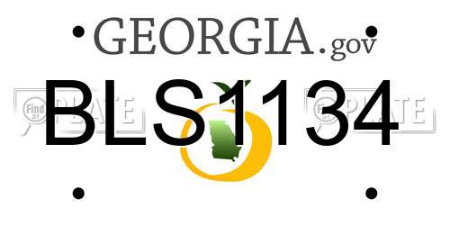 BLS1134 Georgia License Plate