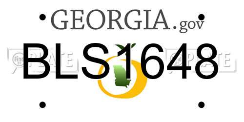BLS1648 Georgia License Plate