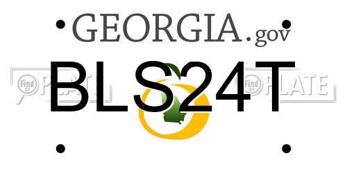 BLS24T Georgia License Plate