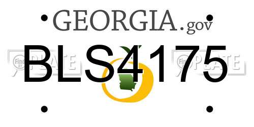 BLS4175 Georgia License Plate