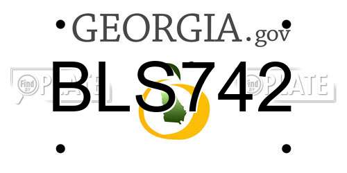 BLS742 Georgia License Plate