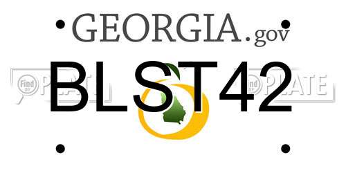 BLST42 Georgia License Plate