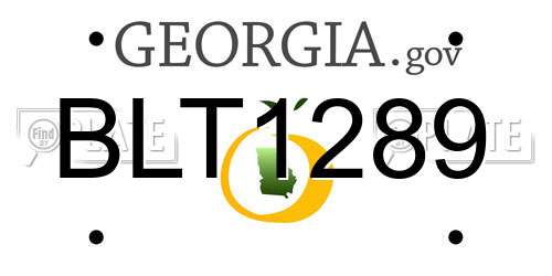 BLT1289 Georgia License Plate