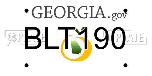 BLT190 Georgia License Plate