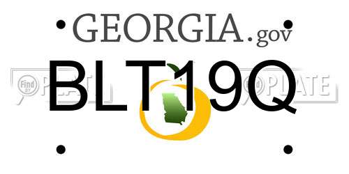 BLT19Q Georgia License Plate