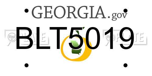BLT5019 Georgia License Plate