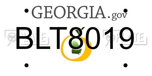 BLT8019 Georgia License Plate