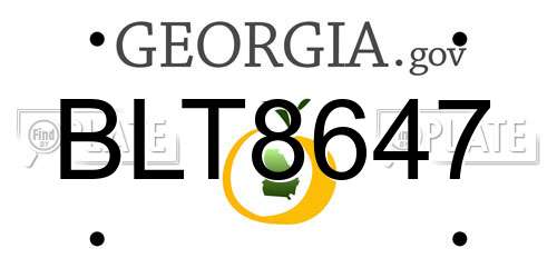 BLT8647 Georgia License Plate