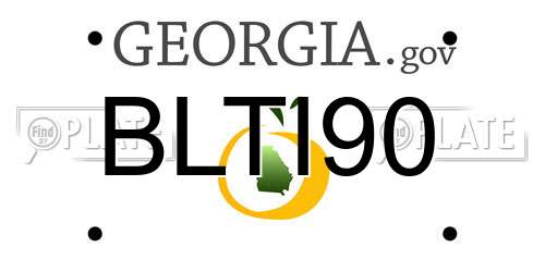 BLTI90 Georgia License Plate