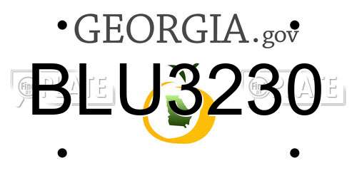 BLU3230 Georgia License Plate