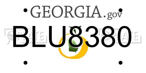 BLU8380 Georgia License Plate