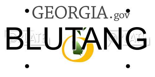 BLUTANG Georgia License Plate