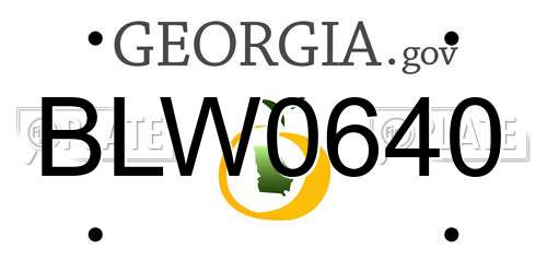 BLW0640 Georgia License Plate