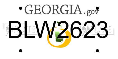 BLW2623 Georgia License Plate