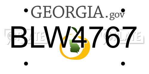 BLW4767 Georgia License Plate