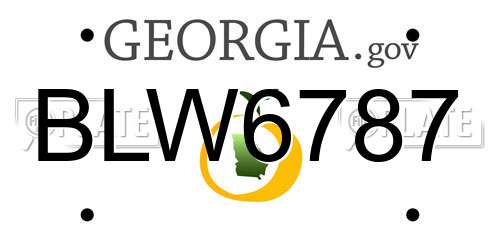 BLW6787 Georgia License Plate