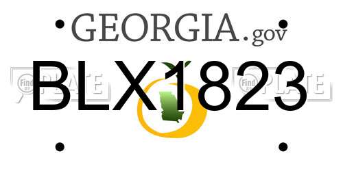 BLX1823 Georgia License Plate