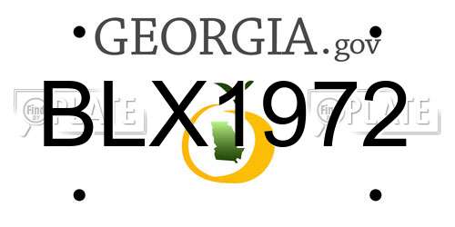 BLX1972 Georgia License Plate