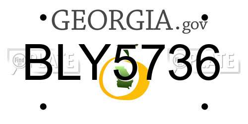 BLY5736 Georgia License Plate