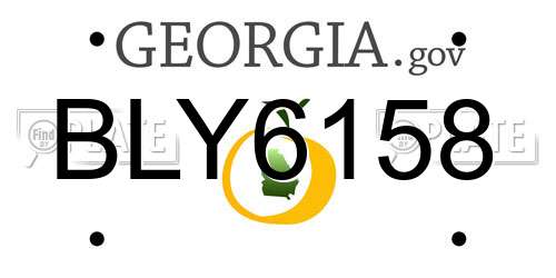 BLY6158 Georgia License Plate