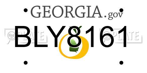 BLY8161 Georgia License Plate