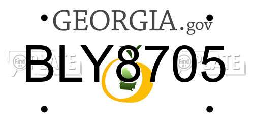 BLY8705 Georgia License Plate