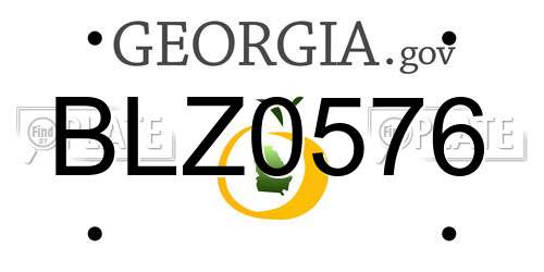 BLZ0576 Georgia License Plate