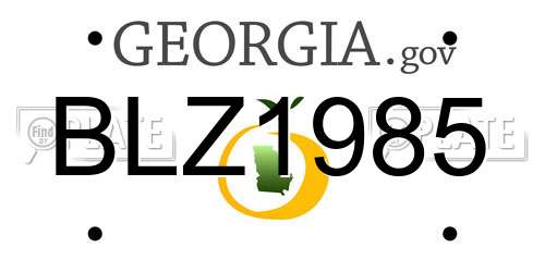 BLZ1985 Georgia License Plate