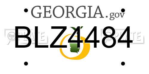 BLZ4484 Georgia License Plate