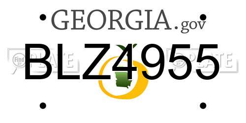 BLZ4955 Georgia License Plate