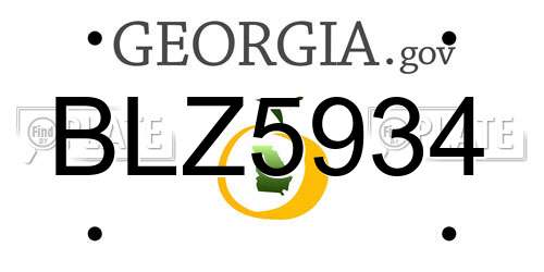 BLZ5934 Georgia License Plate