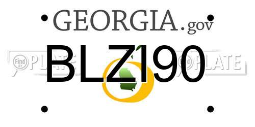 BLZI90 Georgia License Plate