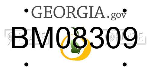 BM08309 Georgia License Plate