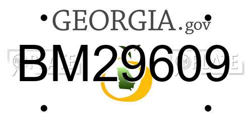 BM29609 Georgia License Plate