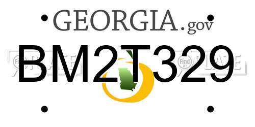 BM2T329 Georgia License Plate