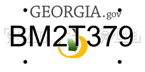 BM2T379 Georgia License Plate