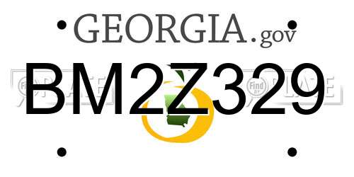 BM2Z329 Georgia License Plate