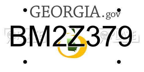 BM2Z379 Georgia License Plate