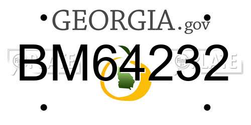 BM64232 Georgia License Plate