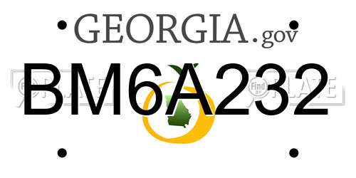 BM6A232 Georgia License Plate