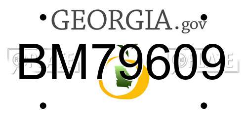 BM79609 Georgia License Plate