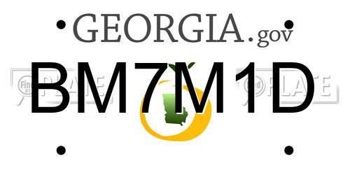 BM7M1D Georgia License Plate