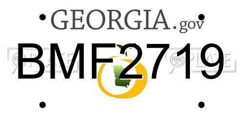 BMF2719 Georgia License Plate