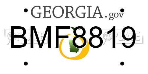 BMF8819 Georgia License Plate