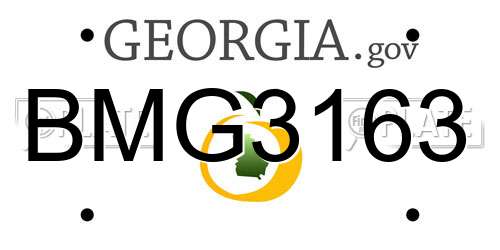 BMG3163 Georgia License Plate