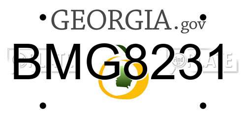 BMG8231 Georgia License Plate
