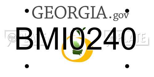 BMI0240 Georgia License Plate