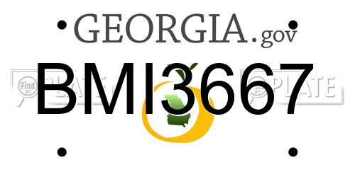 BMI3667 Georgia License Plate