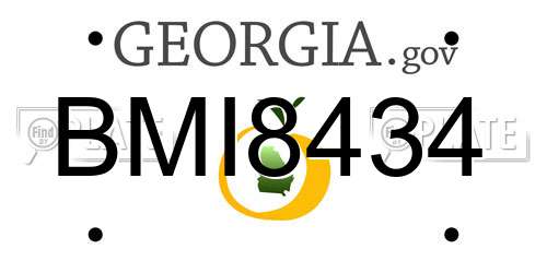 BMI8434 Georgia License Plate