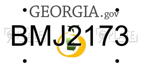 BMJ2173 Georgia License Plate